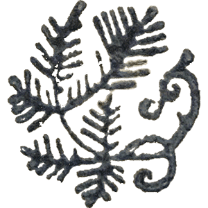 Abonnement "Sur mesure"